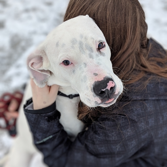 Meet your Posher, Alexis - Picture 8 of 16